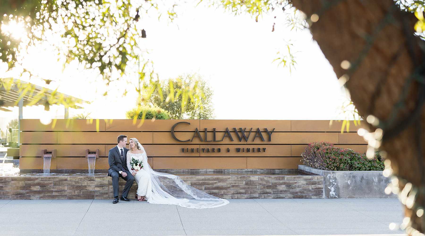 Callaway Vineyard & Winery